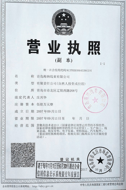 Chiny Qingdao Hainr Wiring Harness Co., Ltd. Certyfikaty